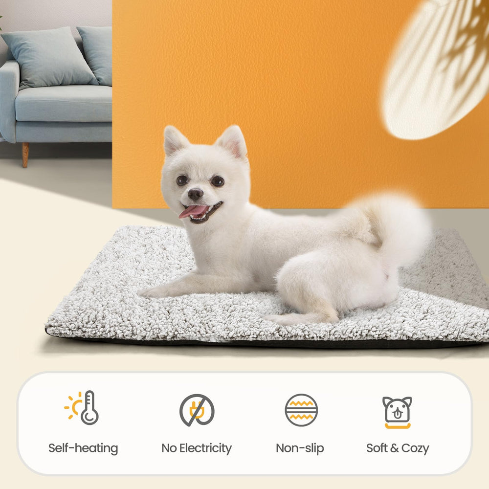 Mora Pets comparaison des tailles disponibles, choix adapté à l'animal