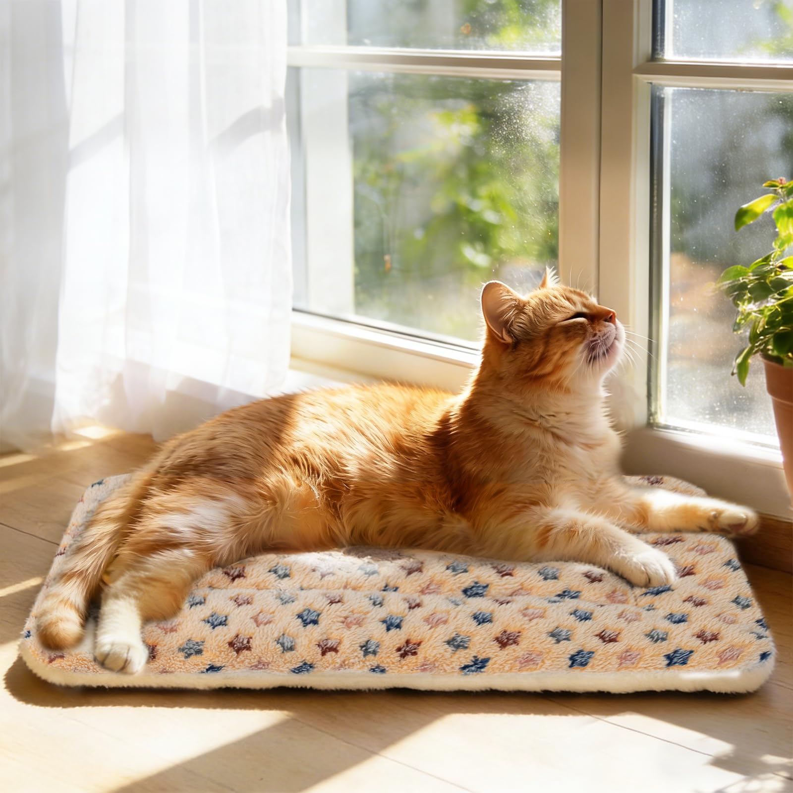 Mora Pets gros plan polaire duveteuse offrant chaleur et adhérence