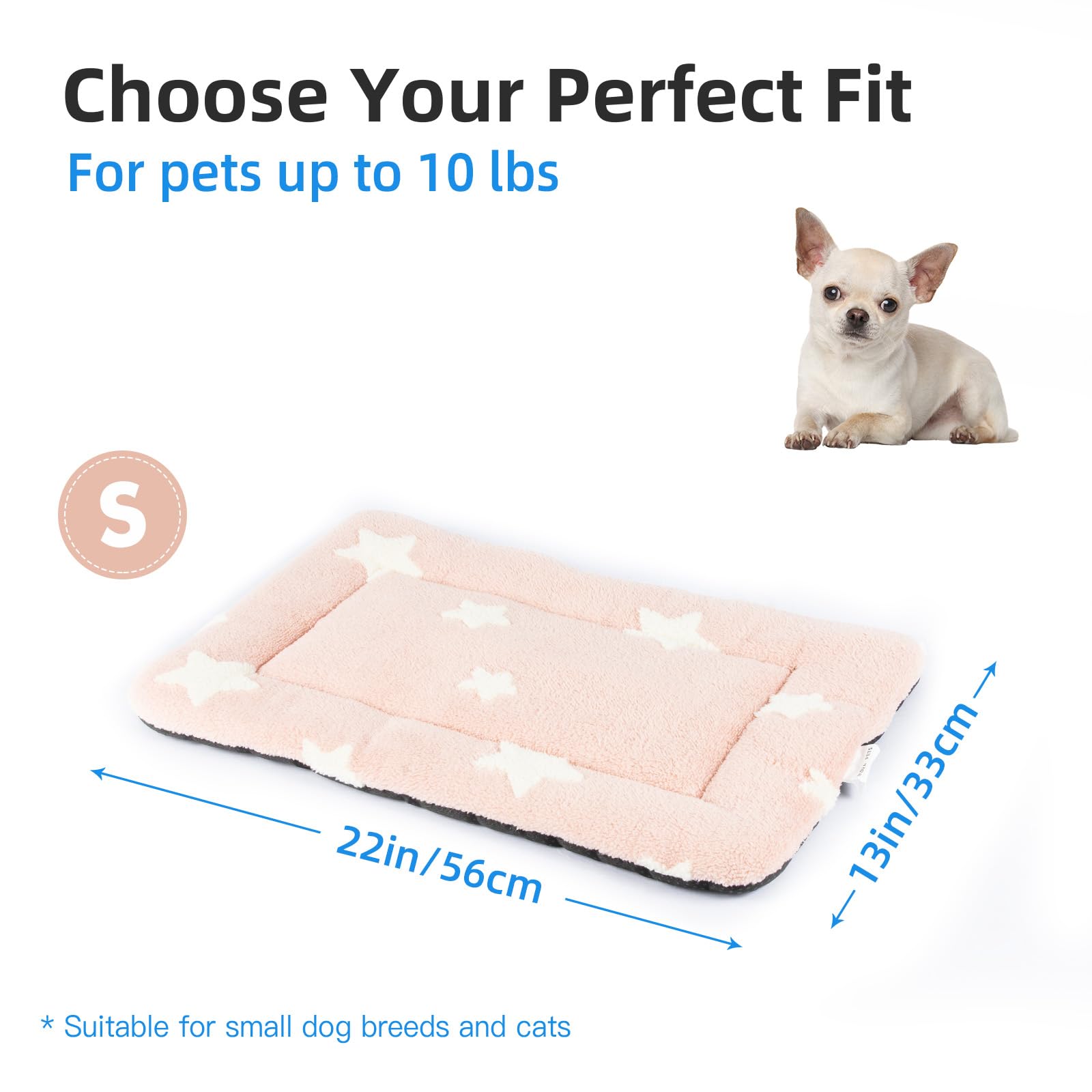 Mora Pets tapis dans un salon montrant confort et intégration décorative