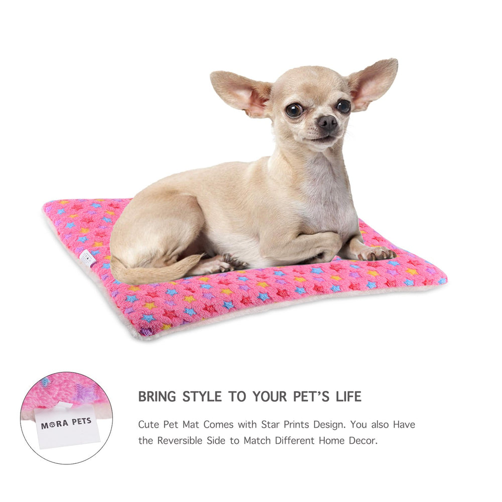 mora pets tapis placé dans une caisse 22 pouces montrant ajustement parfait