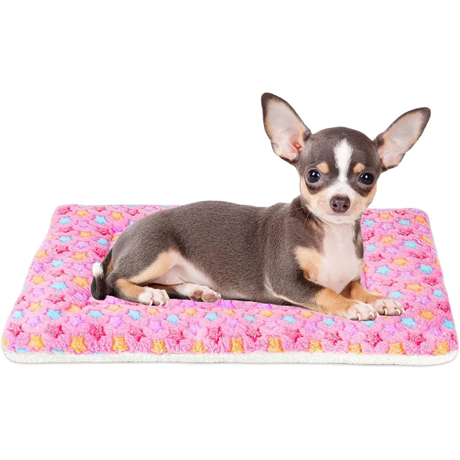 mora pets tapis devant emballé montrant format compact et transport facile