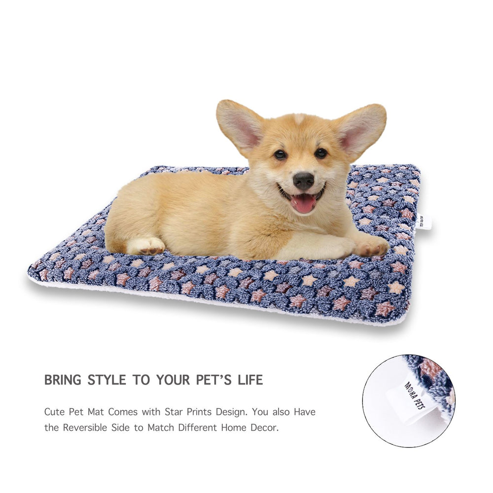Mora Pets chat reposant sur le tapis assurant confort et apaisement