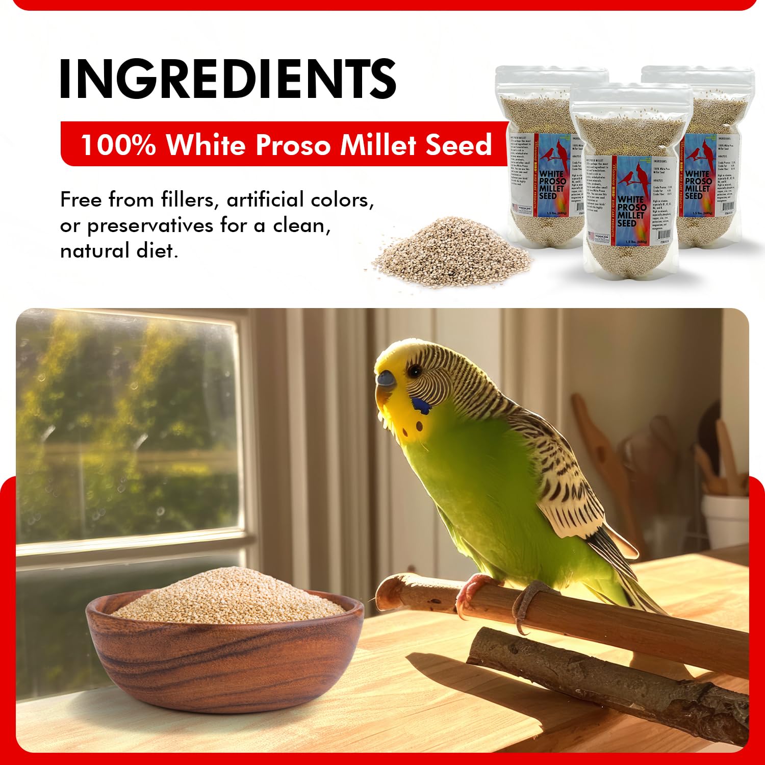 Morning Bird millet servi en coupelle pour oiseaux, appétence et facilité d’accès