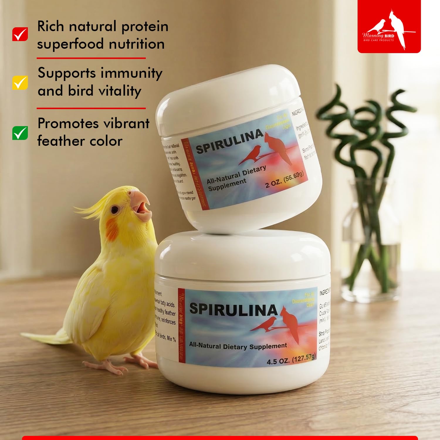 Morning Bird spiruline dans un bol prêt à être offerte, repas appétissant