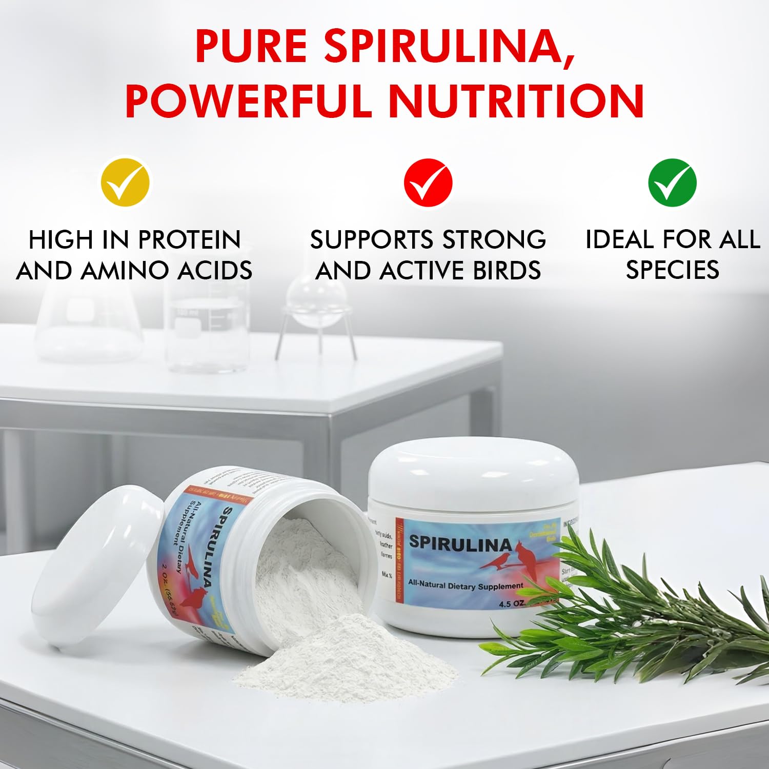 Morning Bird spiruline utilisée par une perruche, acceptation par l'oiseau