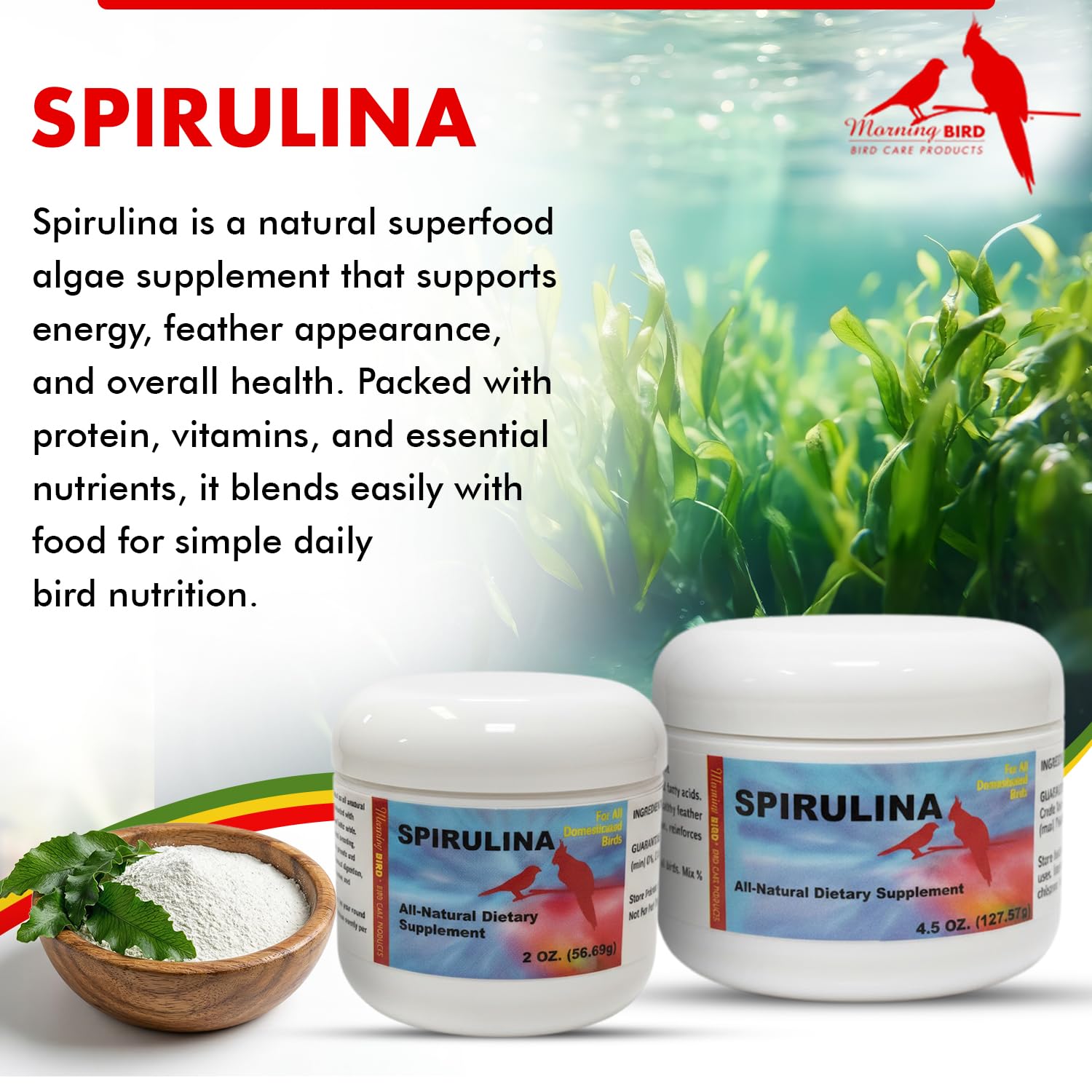 Morning Bird poudre de spiruline gros plan révélant texture fine et riche