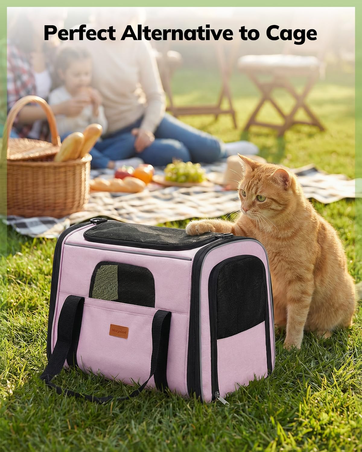 Morpilot comparaison de taille avec objet, illustrant capacité pour animaux jusqu'à 9 kg