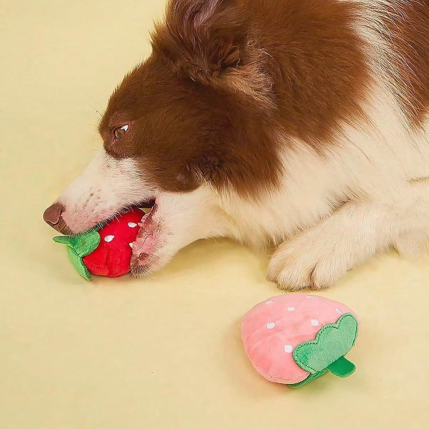 MOSYZEO peluche sur canapé évoque confort et moments complices maître-chien