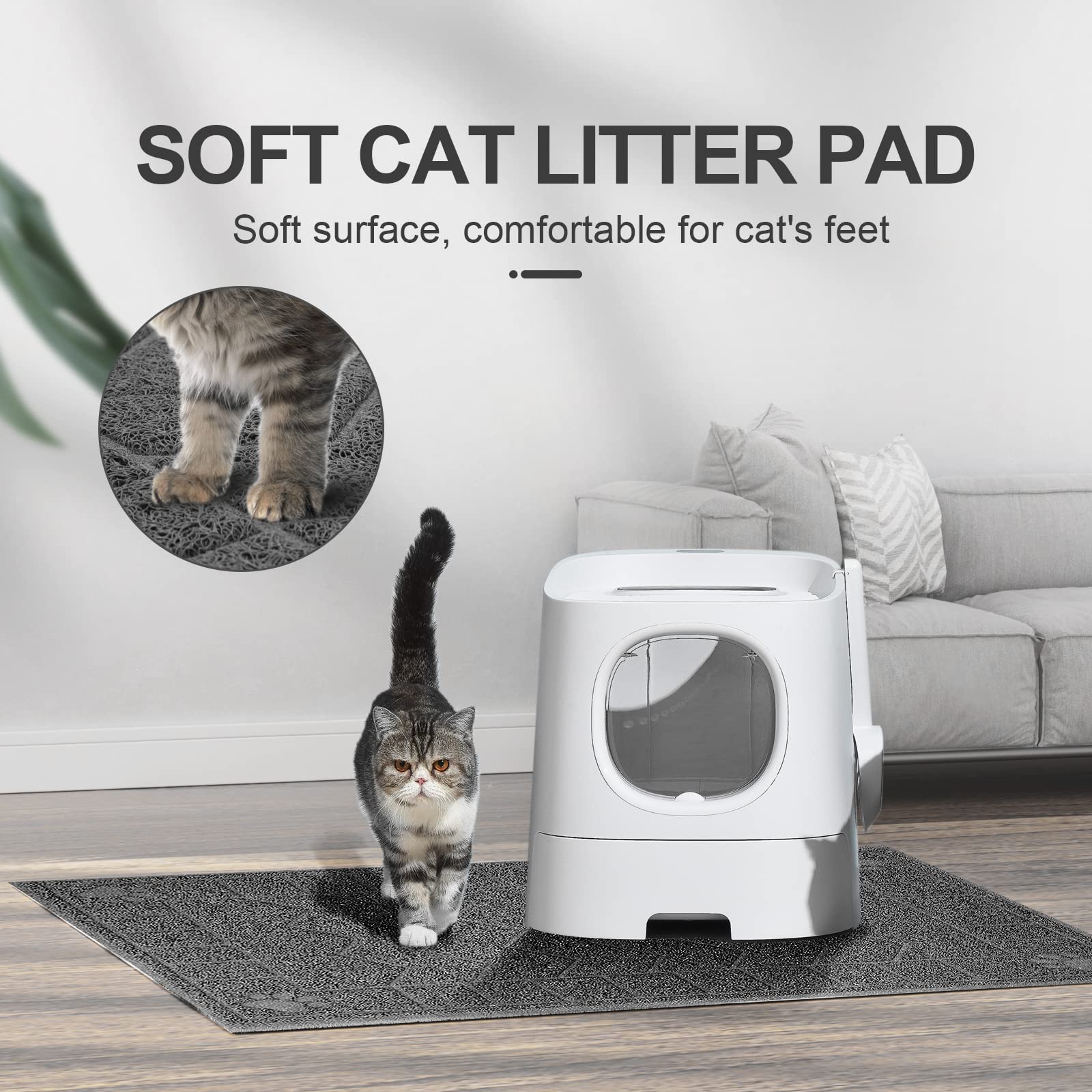 Motsamla chat marchant sur le tapis confort pour pattes sensibles
