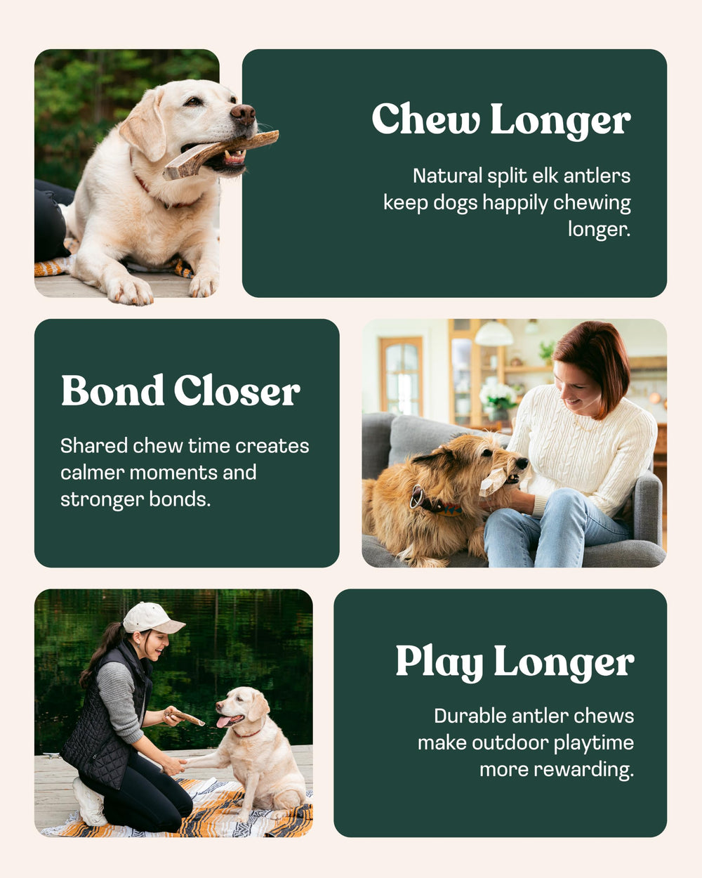 Mountain Valley Antlers chien mâchant l'andouiller, stimulation mentale et physique