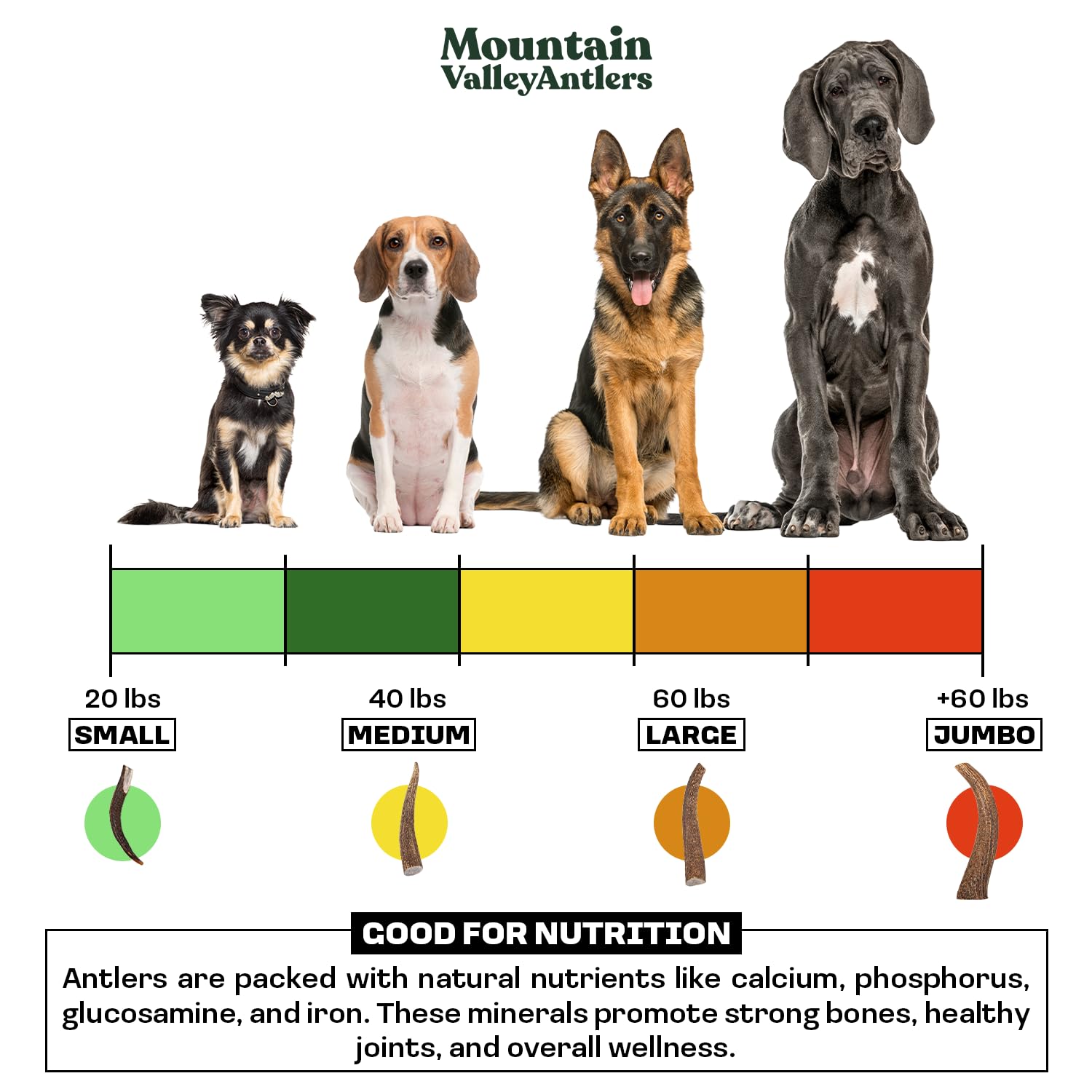 Mountain Valley Antlers coupe et tranches présentant différents diamètres
