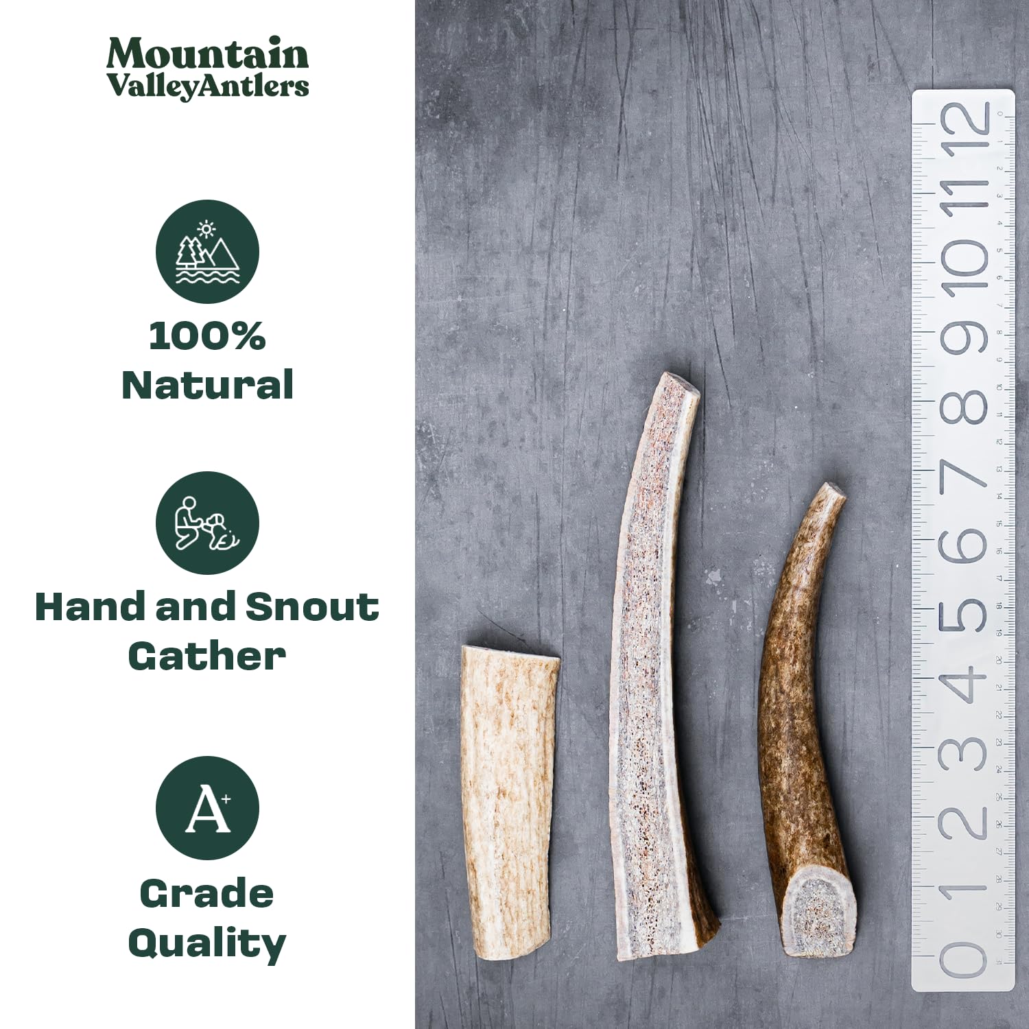 Mountain Valley Antlers gros plan texture montrant dureté et longévité