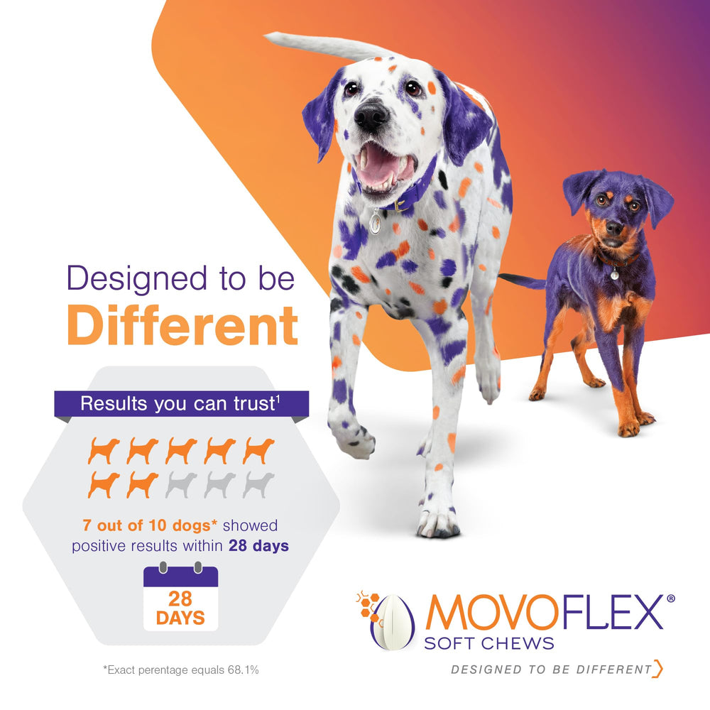 MOVOFLEX chew tenu en main pour visualiser la taille et faciliter le dosage quotidien