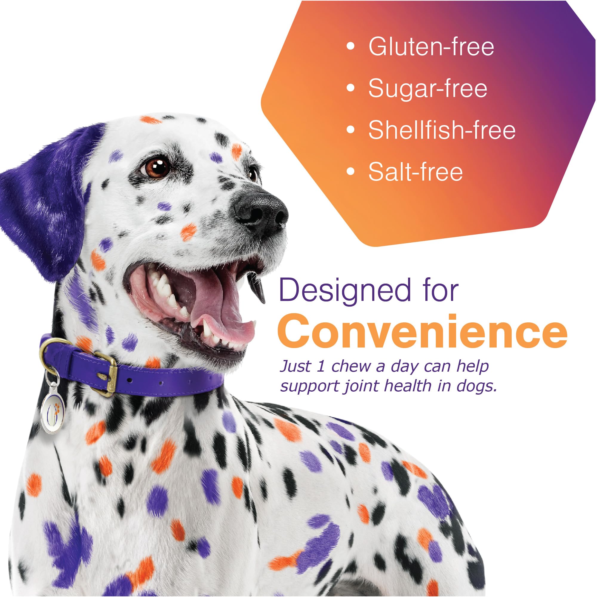 MOVOFLEX chien grand prend friandise illustrant prise facile et compliance