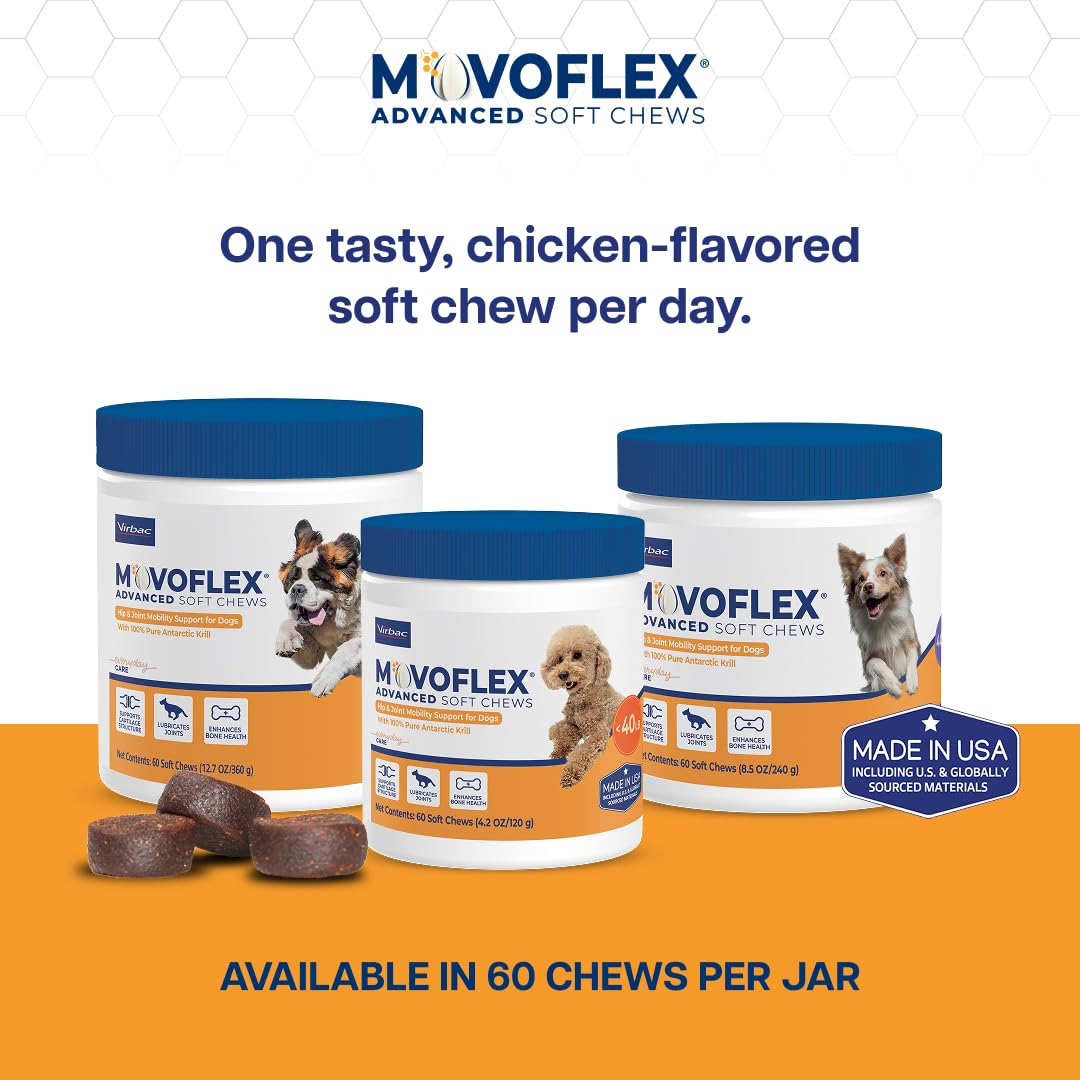 MOVOFLEX chiot mange la friandise et conserve sa mobilité
