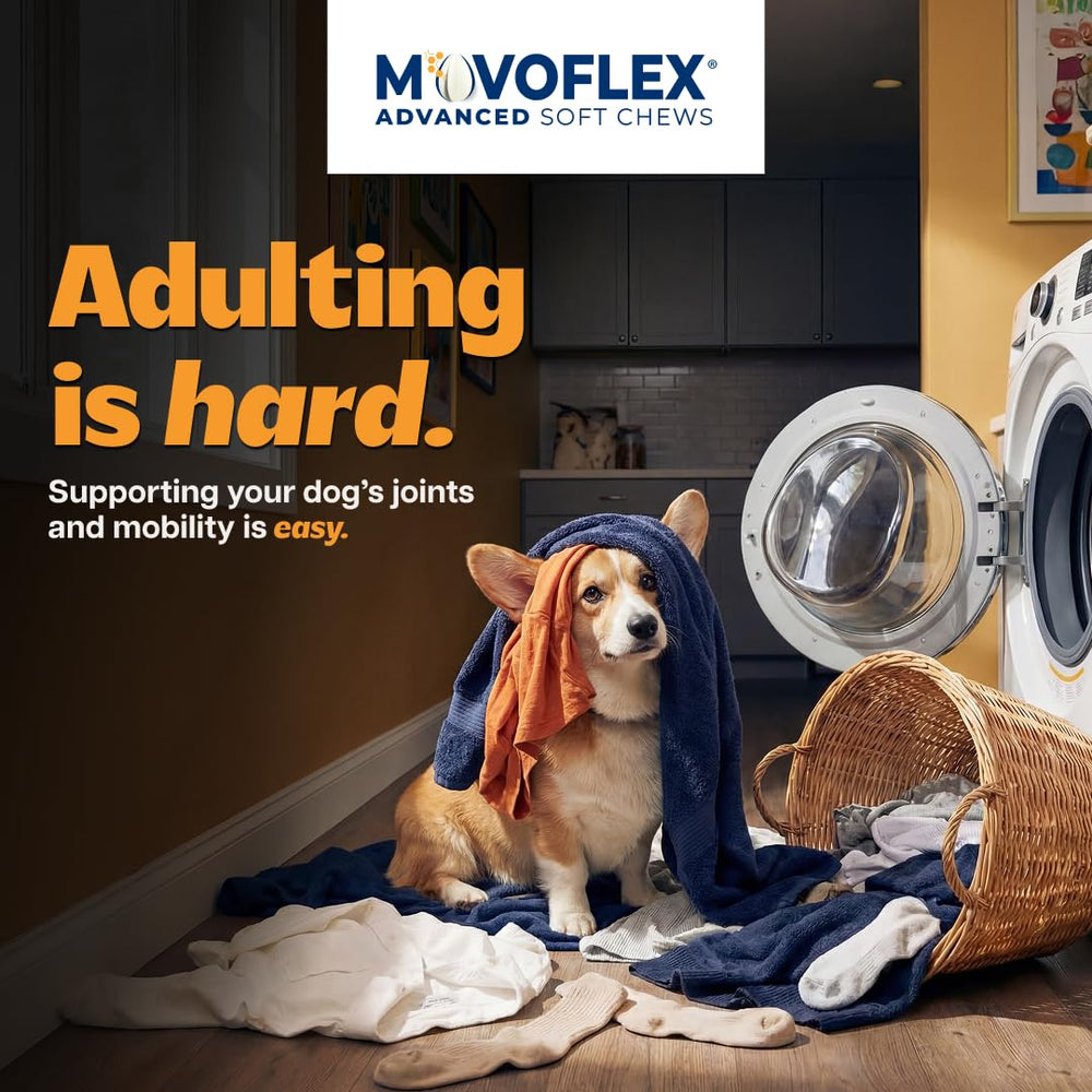 MOVOFLEX friandise gros plan texture tendre et appétente pour chien