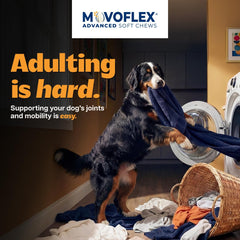 MOVOFLEX masticable gros plan bénéfice : texture molle appétente