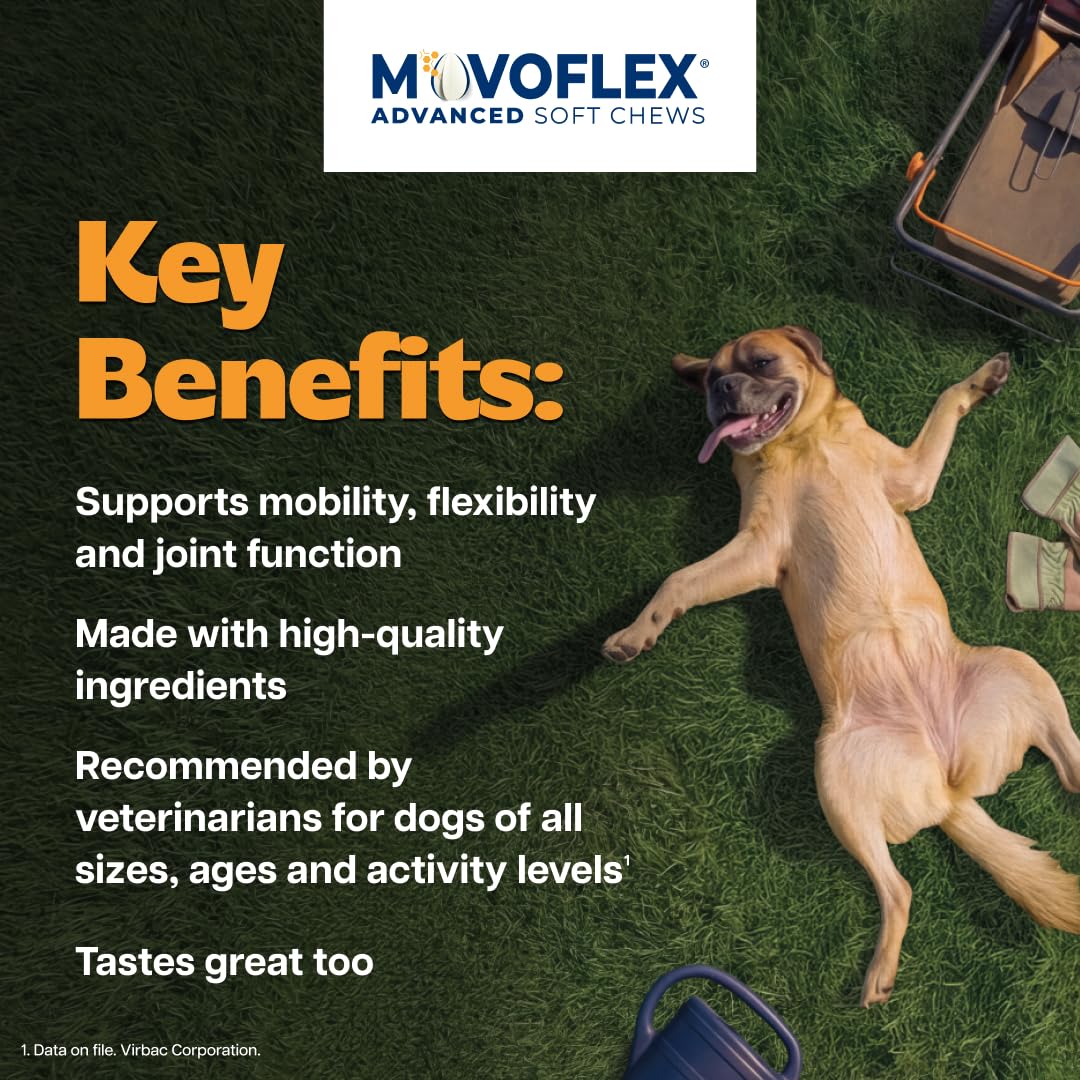 MOVOFLEX comparaison de taille pot pour 60 mastiquables pratique