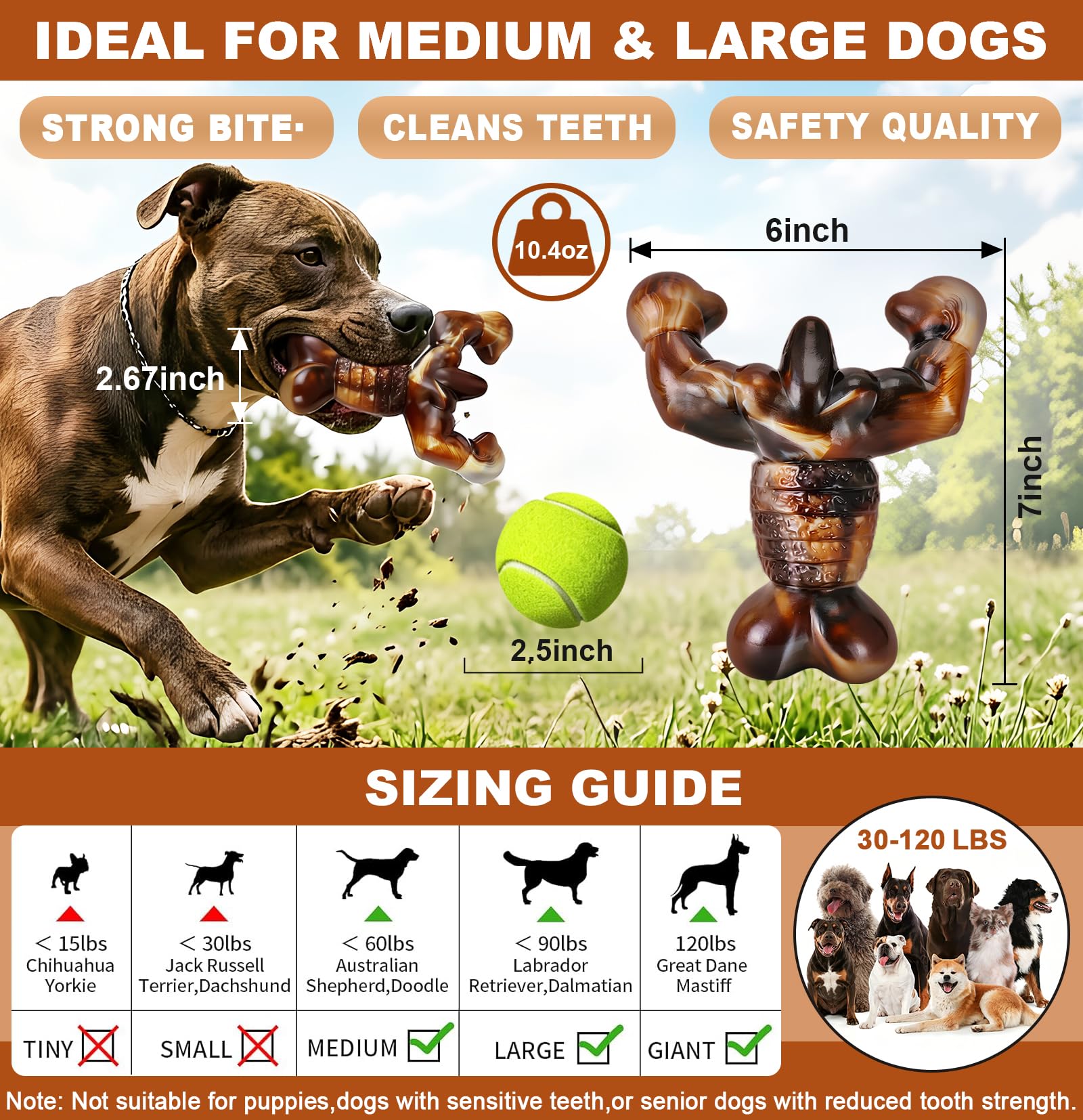 MOXIKIA jouet en usage avec Labrador stimulant jeu et énergie