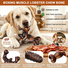 MOXIKIA gros plan texture crantée offrant meilleure prise pour chien