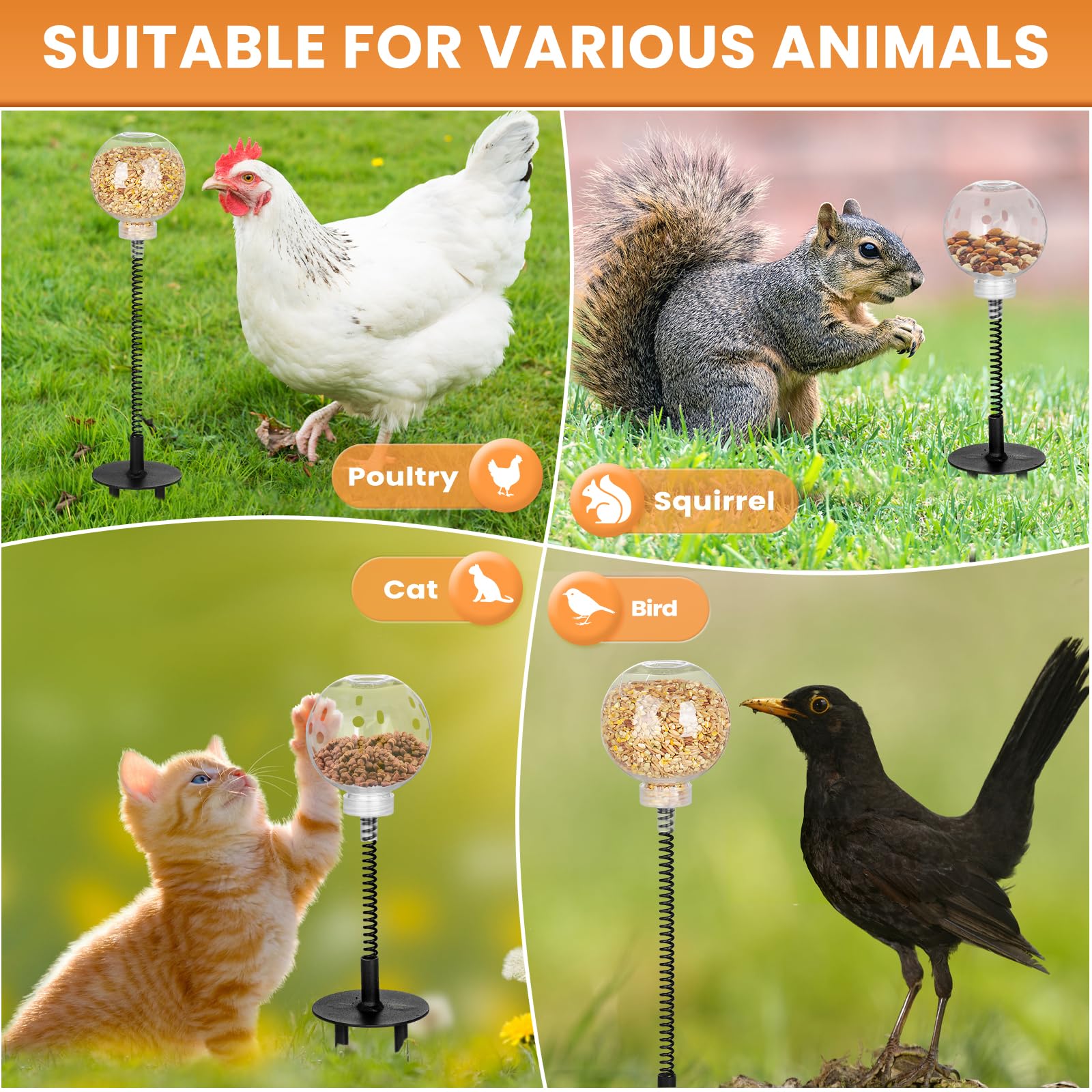 moyardow Peck Toy comparaison d'échelle montre taille adaptée aux poules