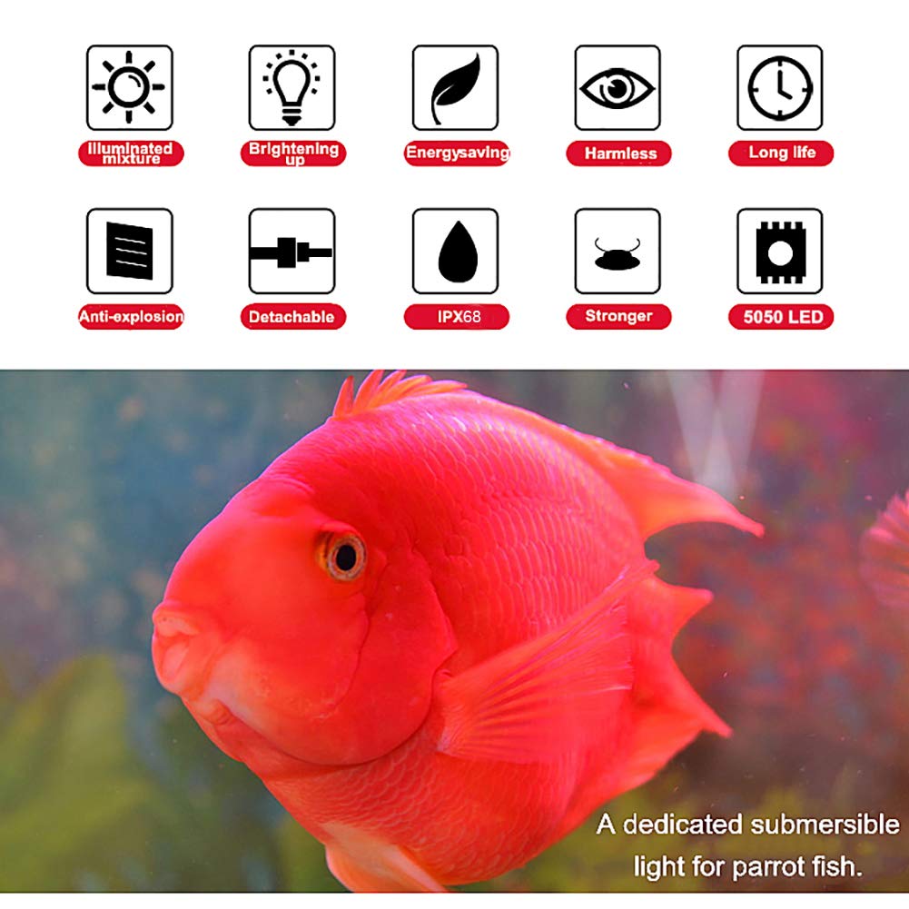MQ télécommande 24 touches affichée, permet contrôler couleurs et intensité facilement
