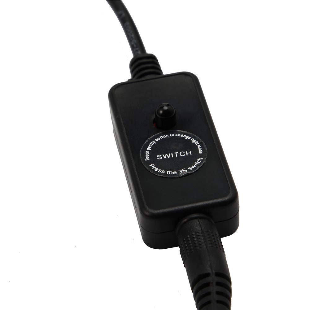 MQ lampe installée dans petit bassin intérieur pour mise en valeur végétation et pierres