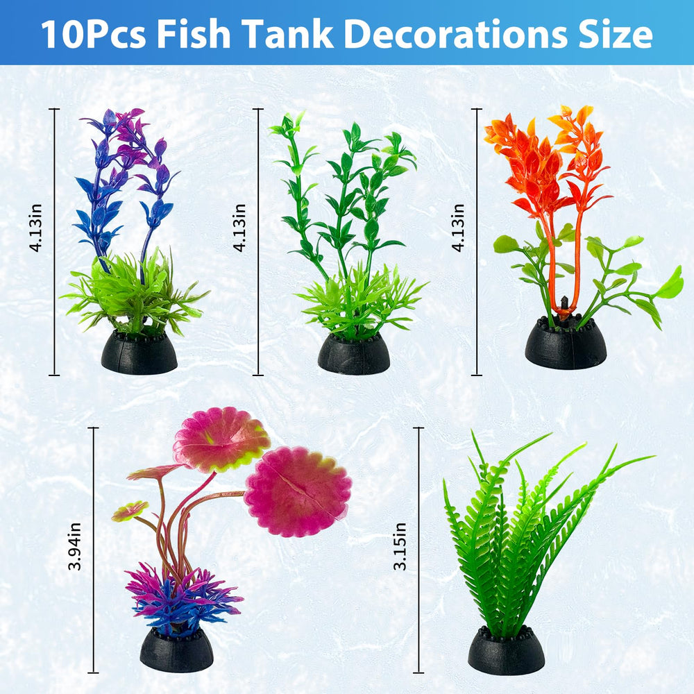 MQACPUPY groupe de plantes aquarium fournissant refuges et zones de nage