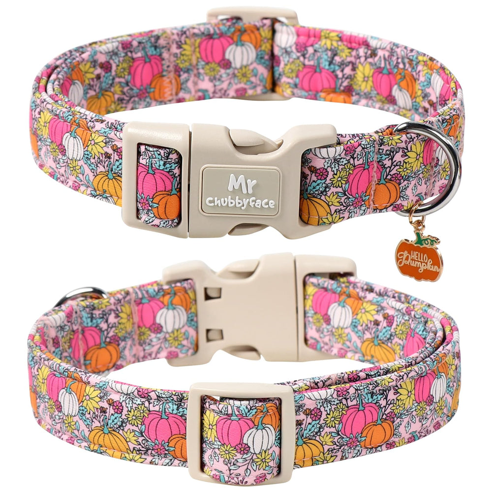 MR.CHUBBYFACE gros plan motif fleur citrouille, visuel saisonnier net