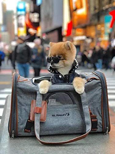 Mr. Peanut's pochette de rangement incluse pliée, transport compact et pratique