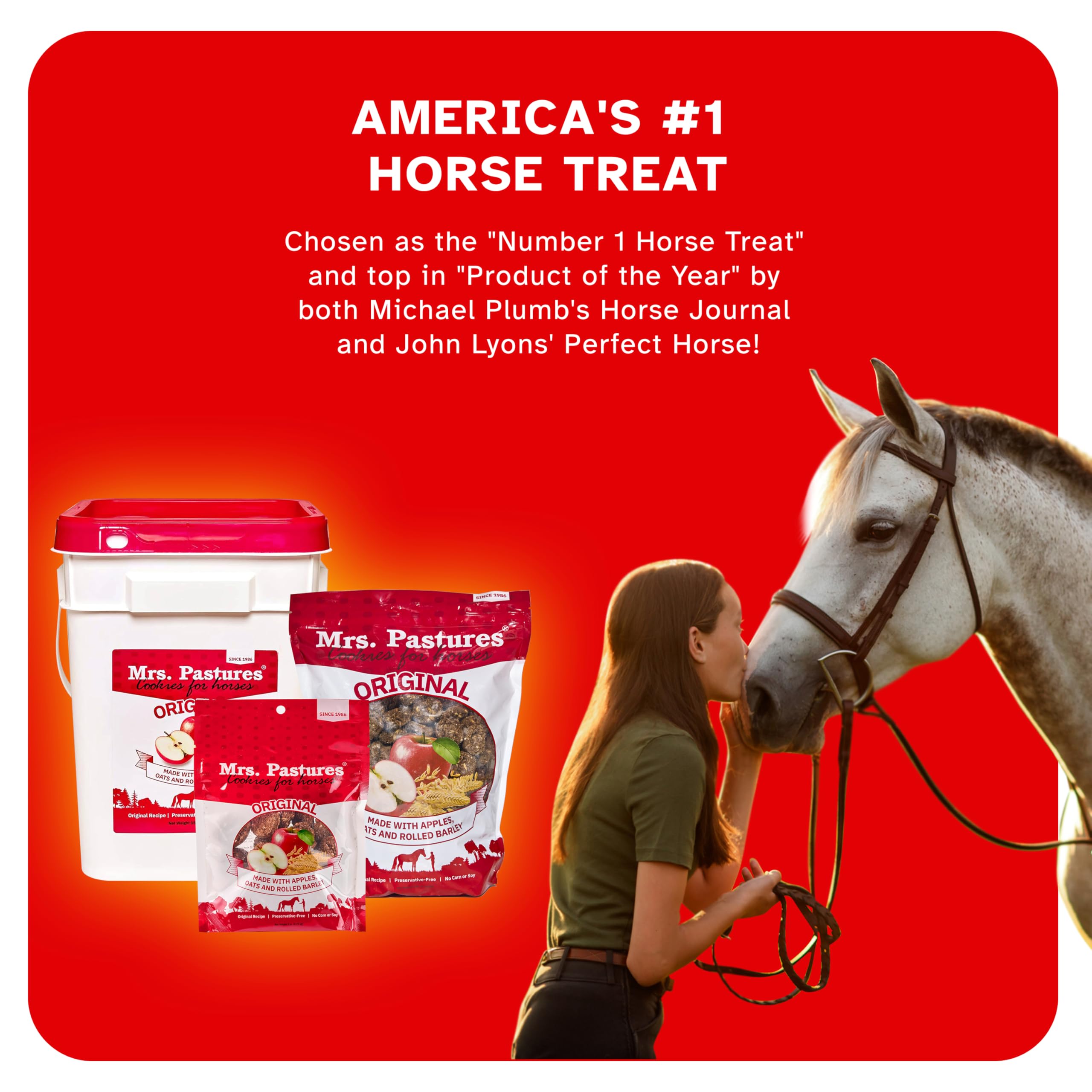 Mrs. Pastures biscuit en main de cavalier pour distribution rapide