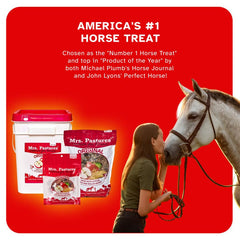 Mrs. Pastures cheval mangeant un biscuit illustrant acceptation et goût