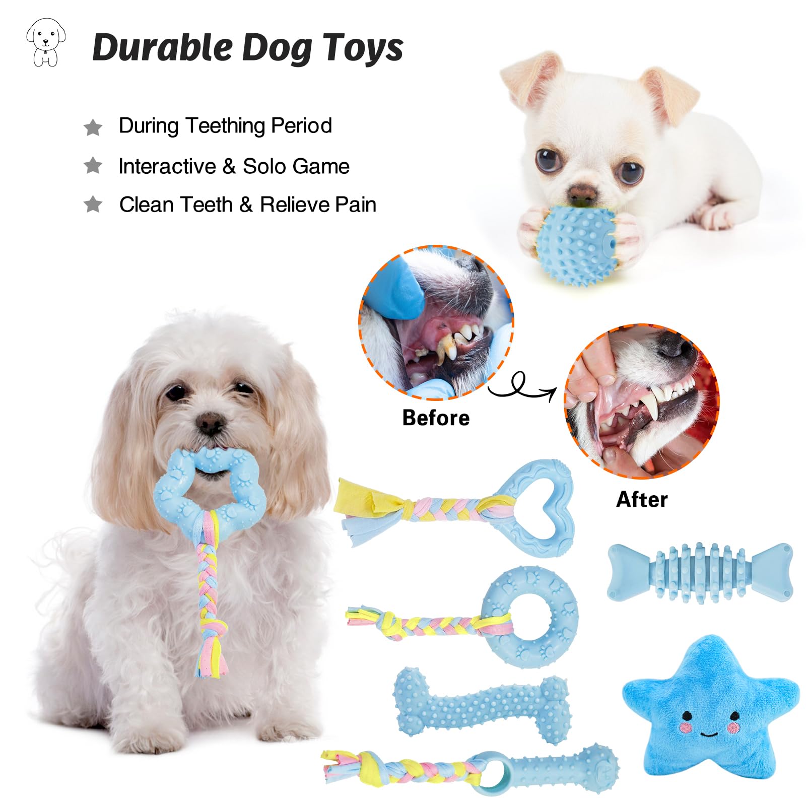 MRSOHRET balle couineuse surface texturée stimule mastication et chasse douce