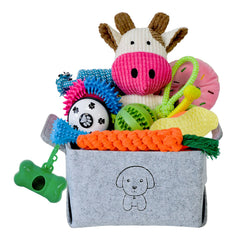MRSOHRET coffret face avant montrant tous les jouets pour occuper chiots