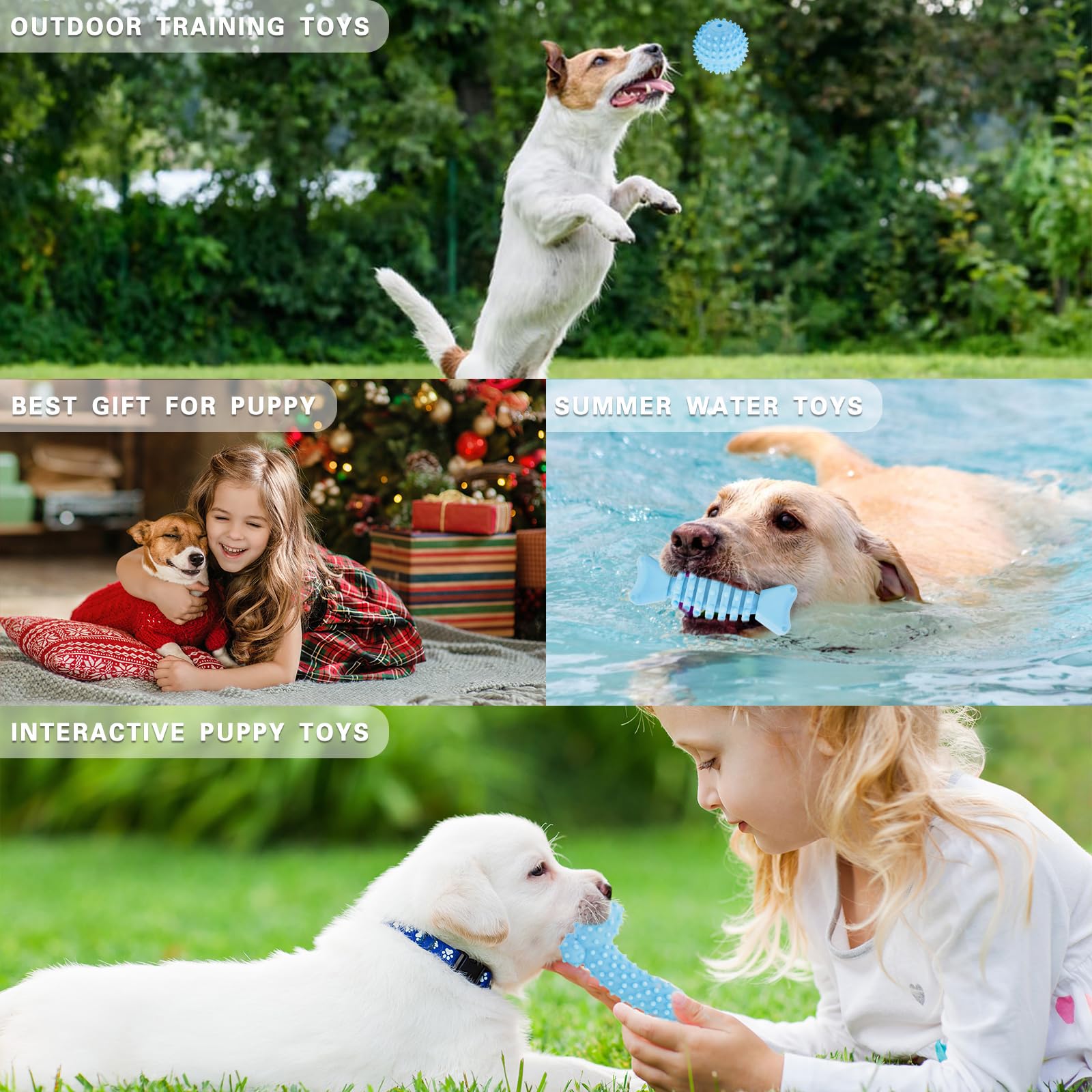 MRSOHRET chiot jouant avec le jouet montre distraction et renforcement du lien