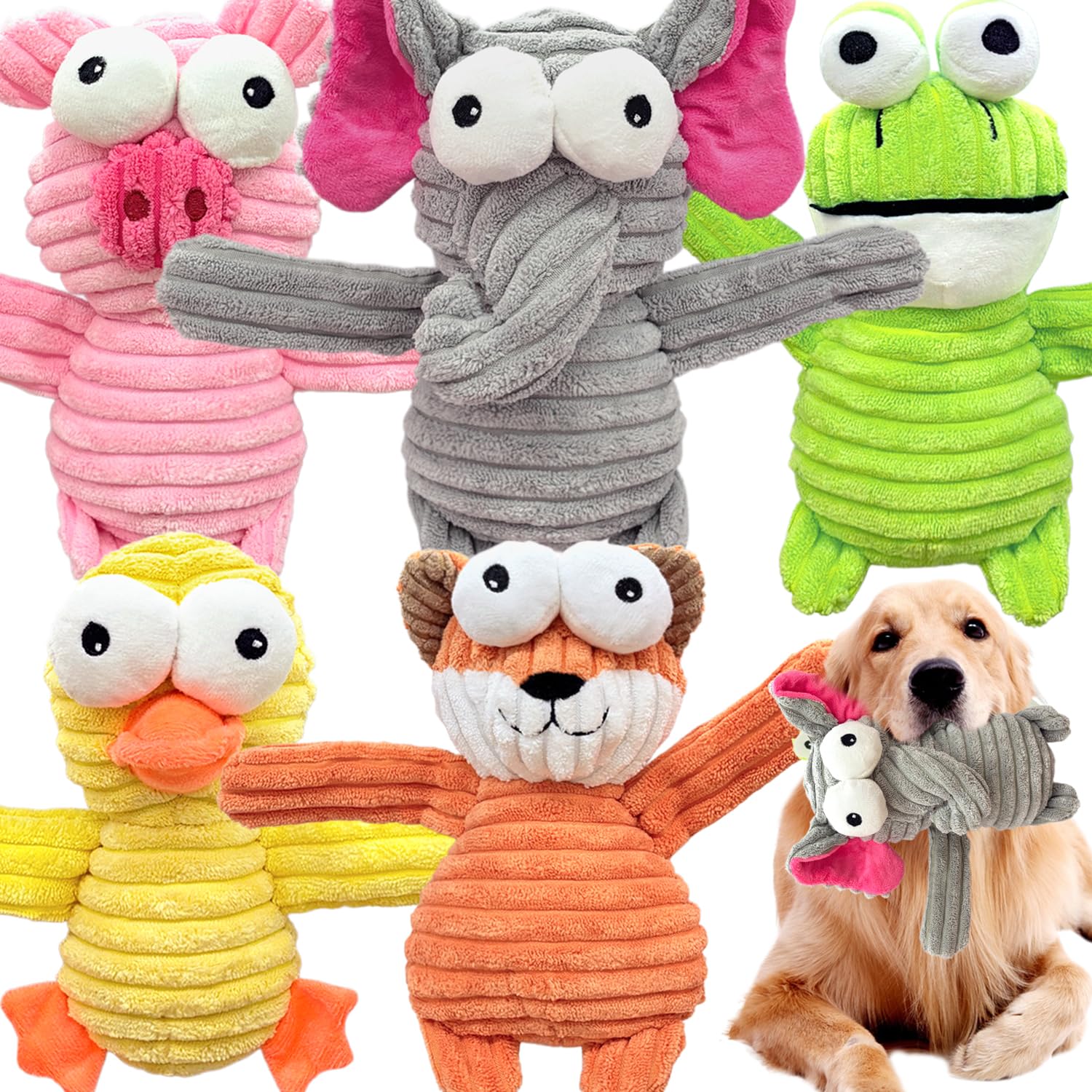 MRSOHRET pack de cinq peluches vue frontale attirant l'attention de l'animal