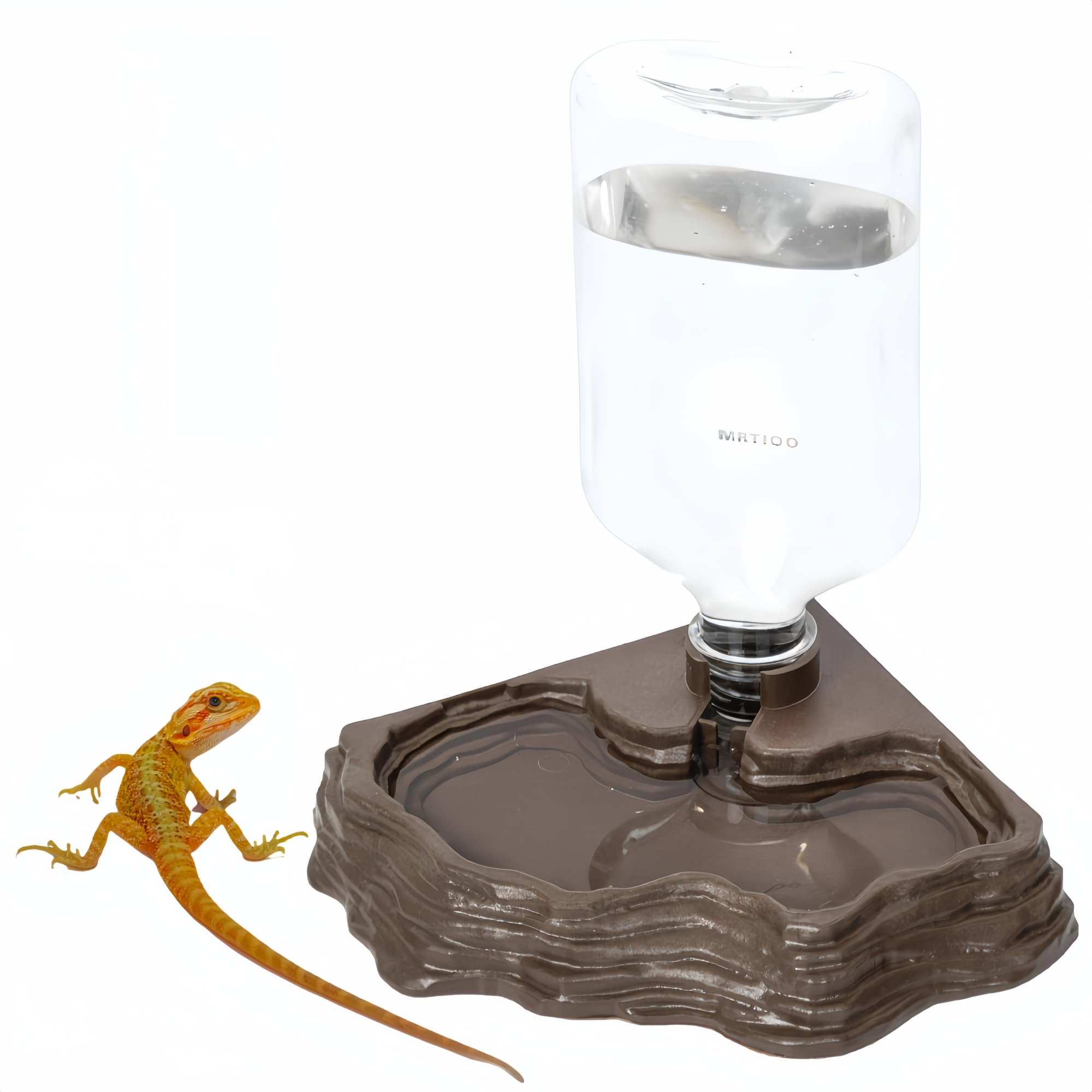 MRTIOO bol avant terrarium offrant accès facile à l'eau