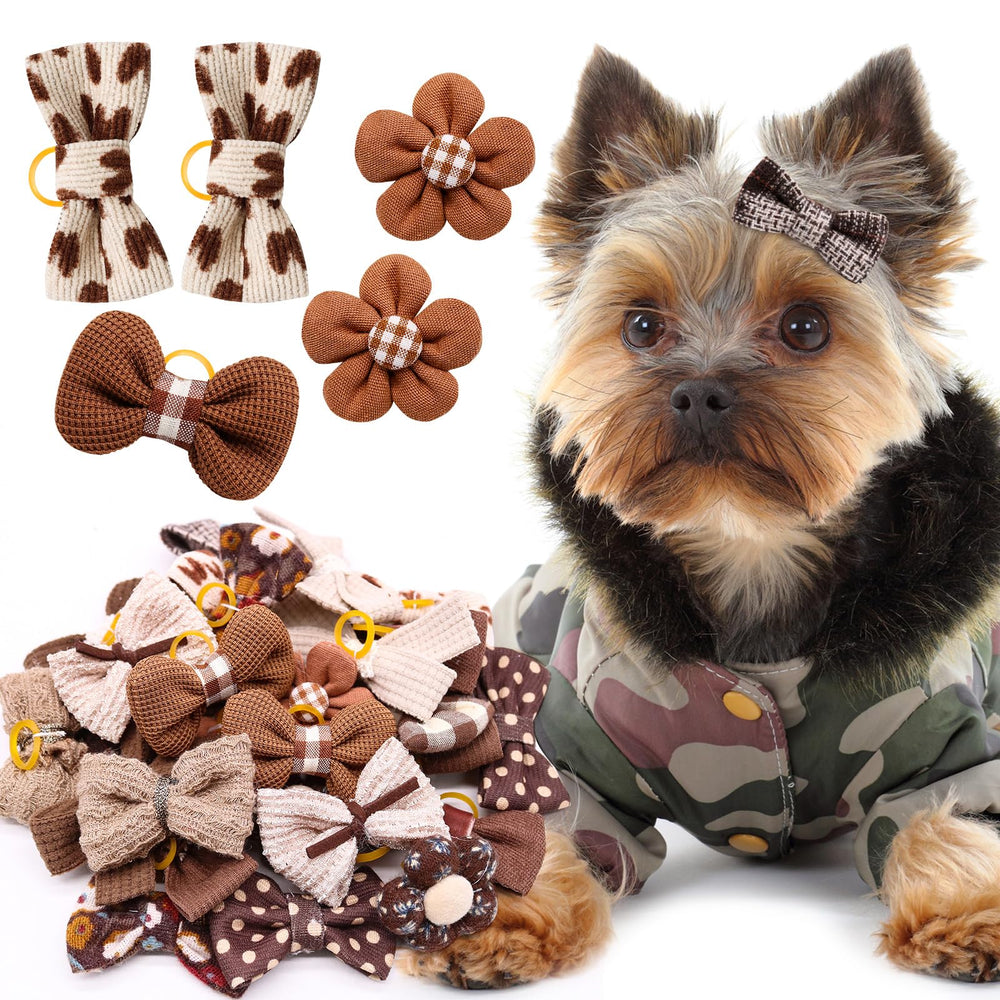 Mruq pet ambiance fête sur chien coiffé, rehausse l'aspect festif