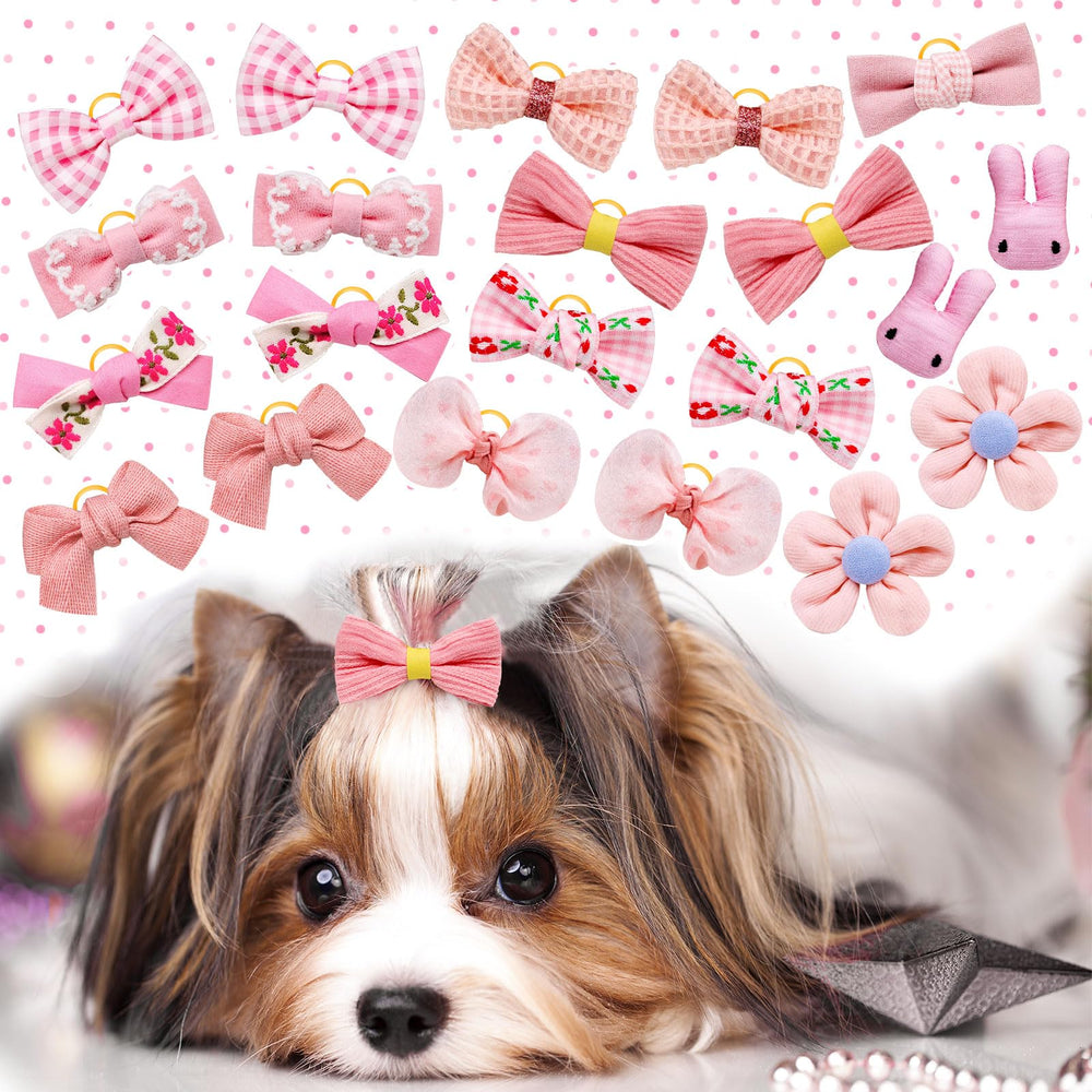 Mruq pet nœud porté lors d'une fête canine, look élégant et photogénique