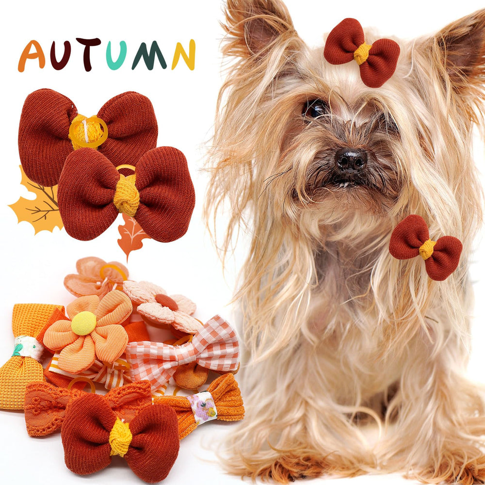 Mruq pet chien portant nœud en extérieur, look festif pour promenades