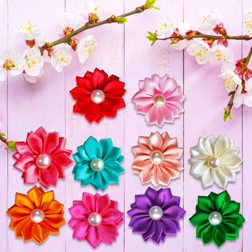 Mruq pet variété couleurs et motifs pour personnaliser le style