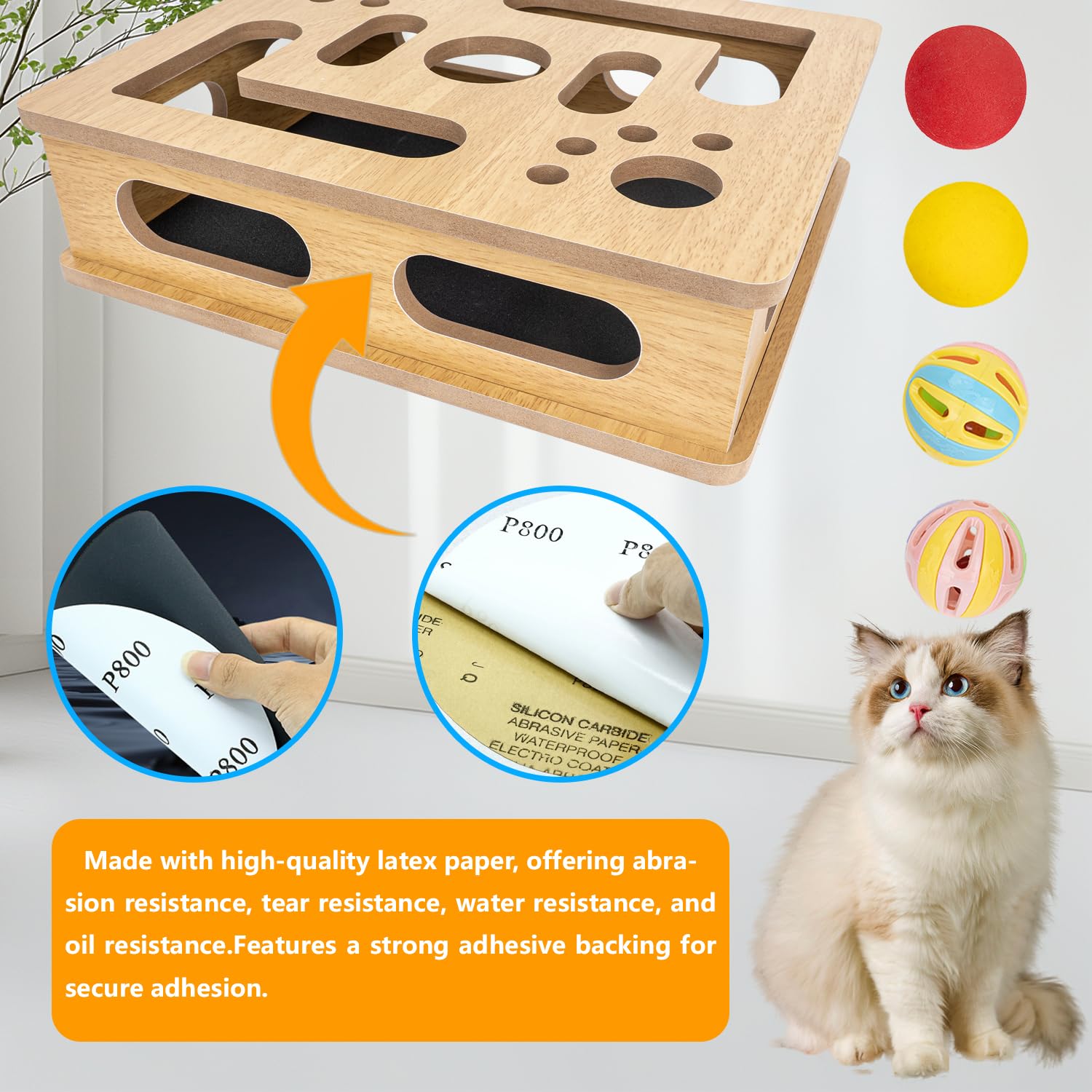 MUCAOL chat jouant avec la boîte, amusement et interaction sociale