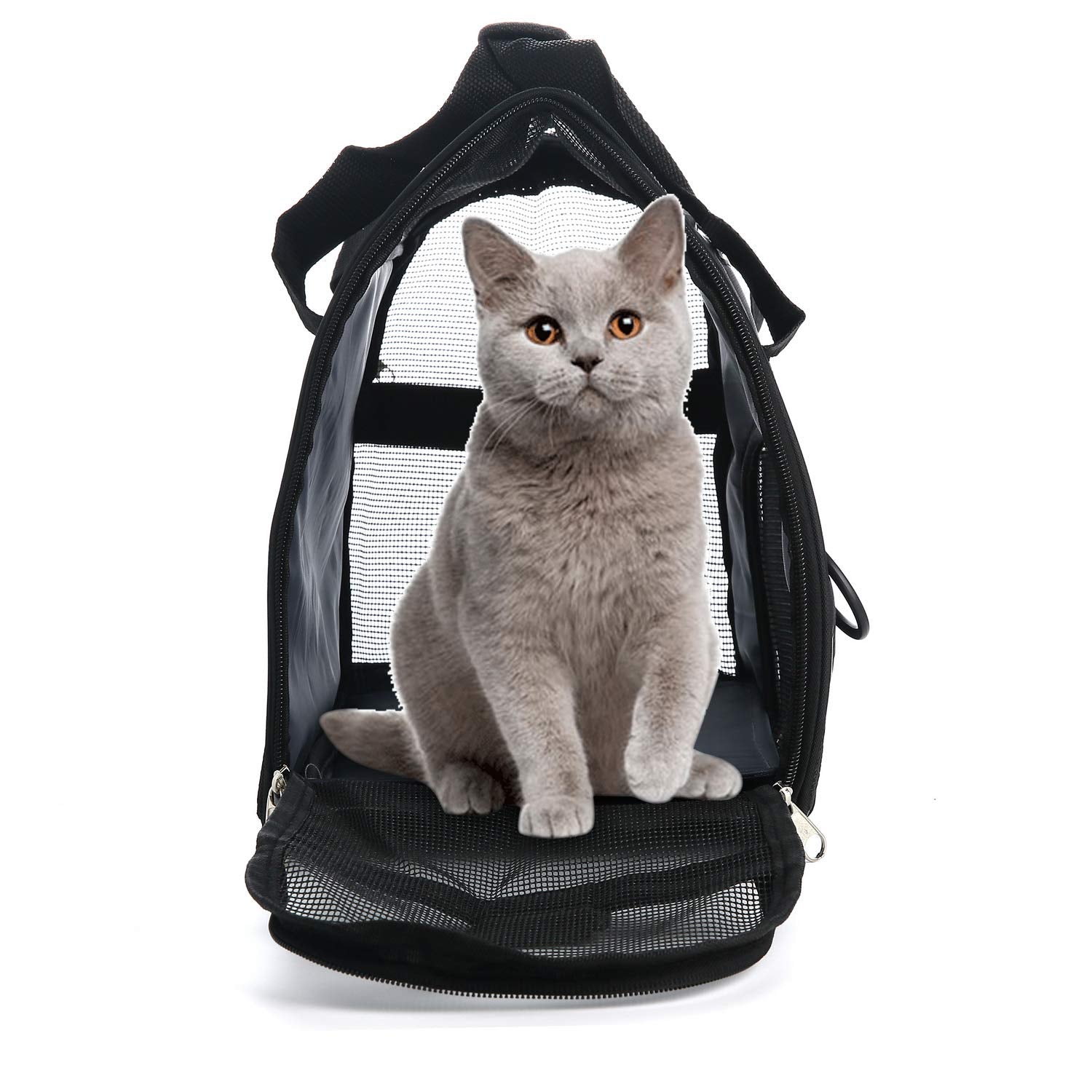 MuchL profil avec dimensions visibles, compréhension de la taille pour l’animal