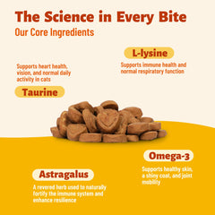 MULTIBITES étiquette lisible avec infos nutritionnelles et guide de dose