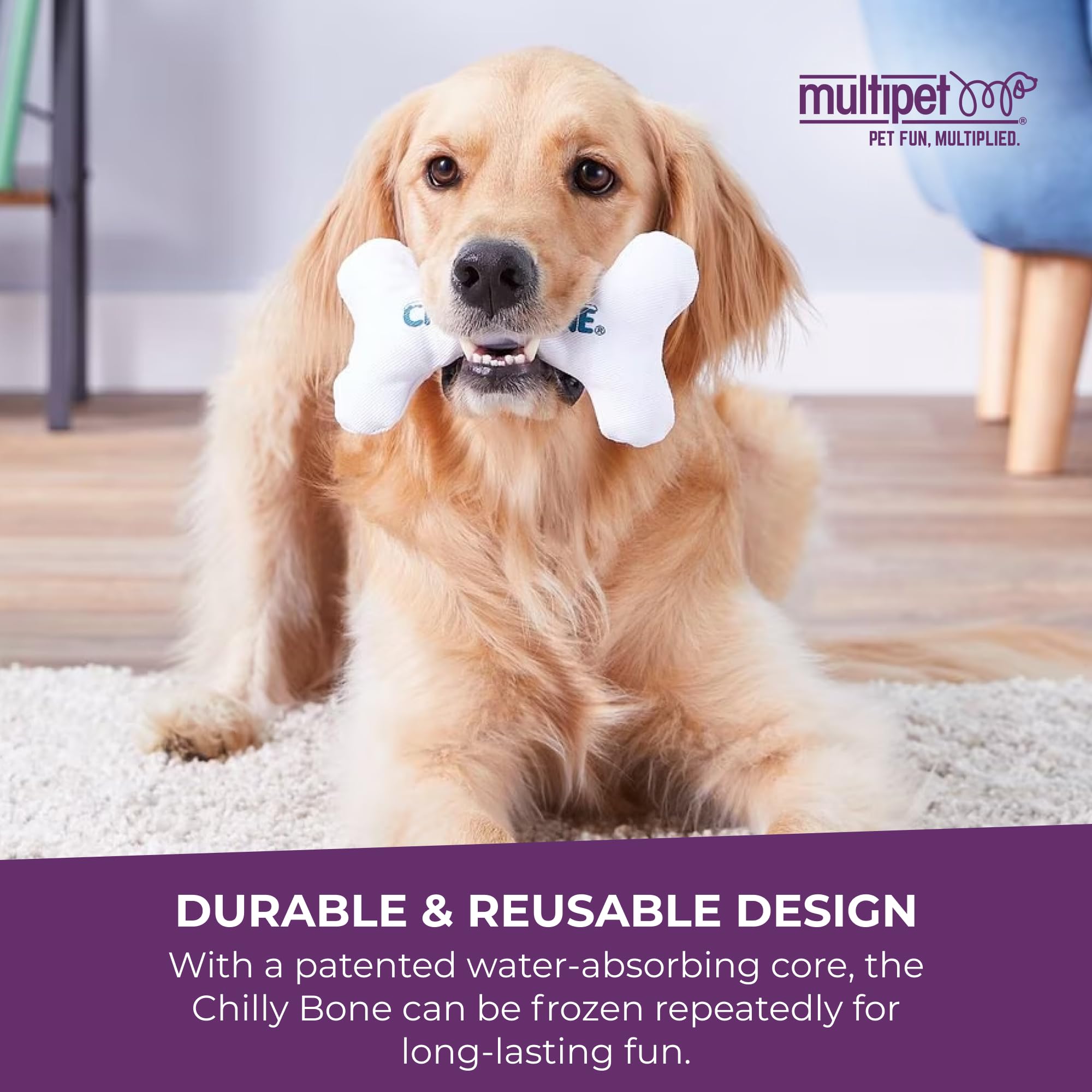 Multipet Chilly Bone congelé prêt à jouer offrant effet rafraîchissant
