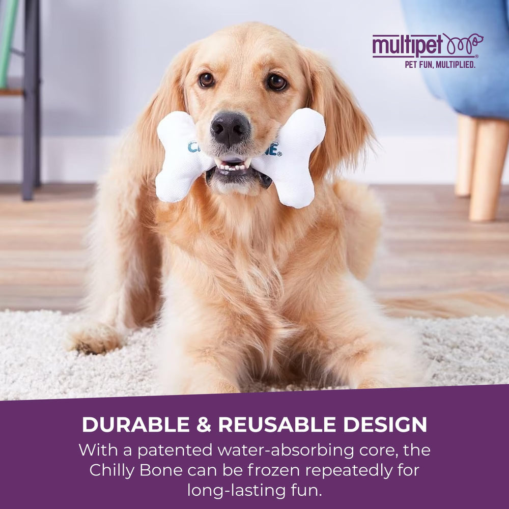 Multipet Chilly Bone congelé prêt à jouer offrant effet rafraîchissant