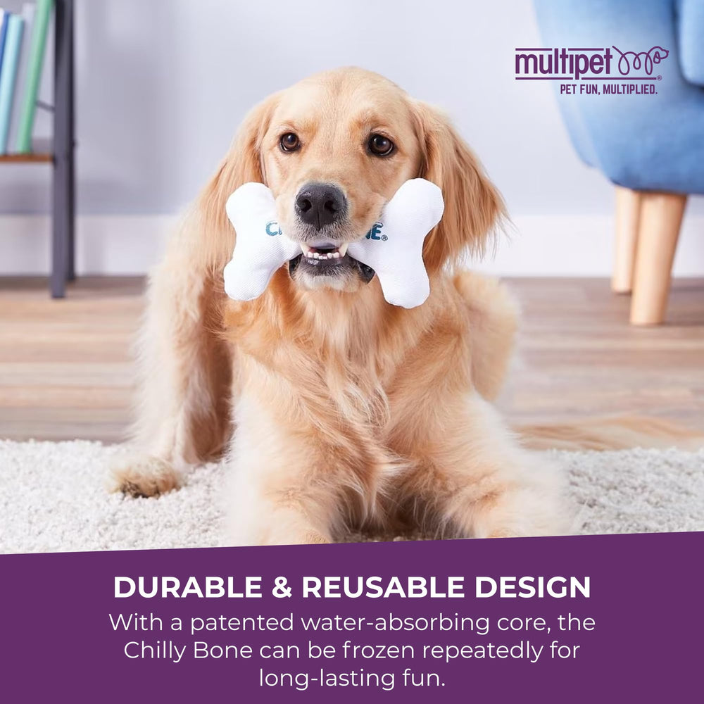 Multipet Chilly Bone congelé tenu en main pour sensation fraîche