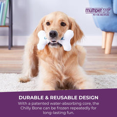 Multipet Chilly Bone congelé tenu en main pour sensation fraîche