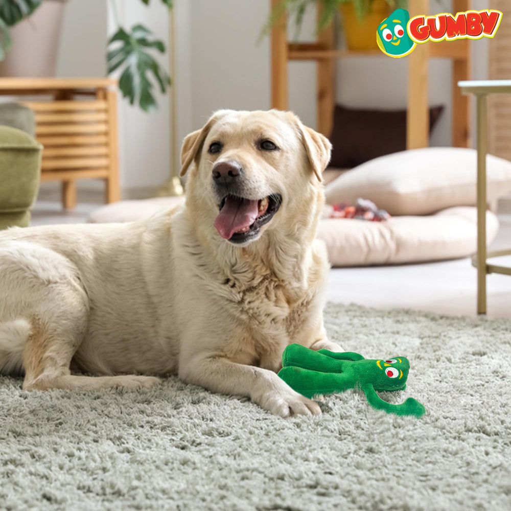 Multipet Gumby chien jouant illustrant divertissement interactif