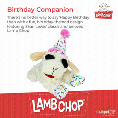 Multipet Lamb Chop détail du chapeau d'anniversaire attire l'œil festif
